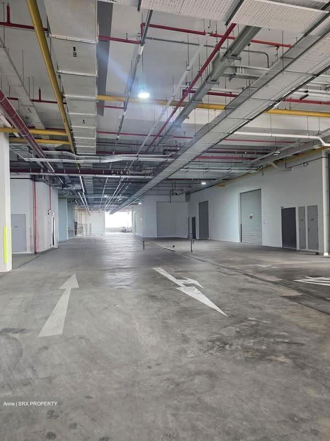Ct Foodnex (D25), Factory #613756371